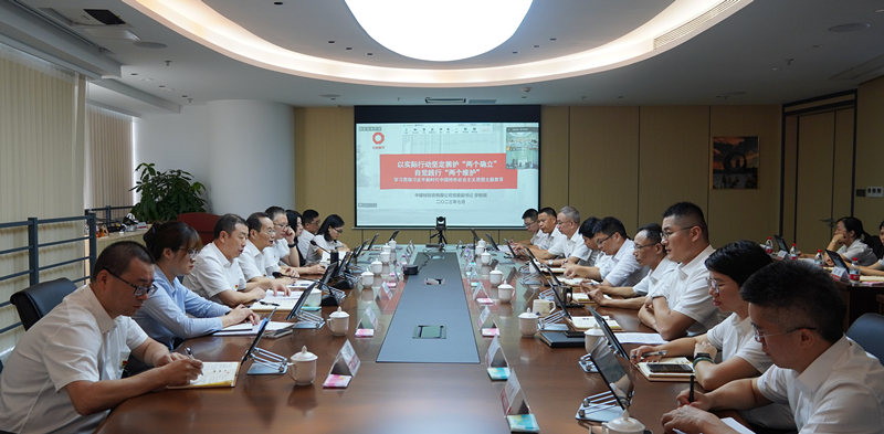 中建材投資黨委副書記廖鶴翔講授主題教育專題黨課