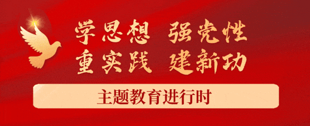 主題教育進(jìn)行時｜重實踐 建新功 主題教育見實效