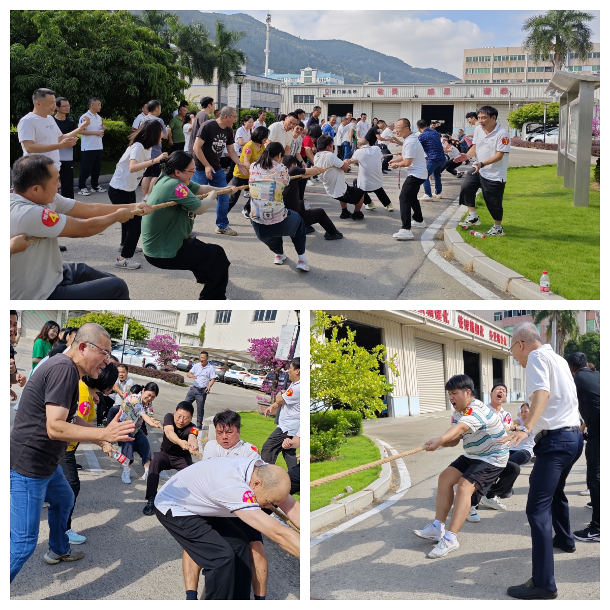 活力綻放·凝聚力量｜廈門標準砂開展趣味運動會