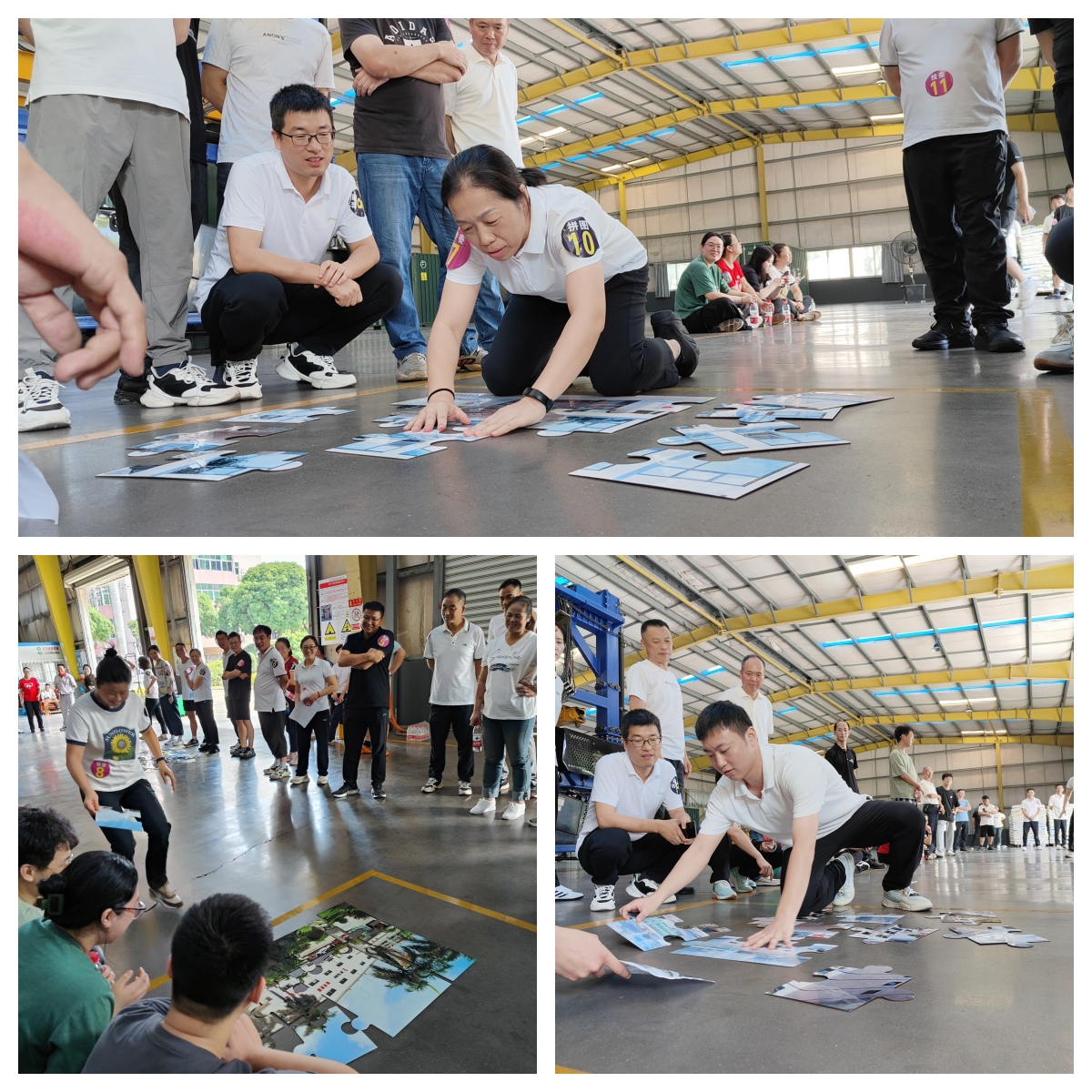 活力綻放·凝聚力量｜廈門標準砂開展趣味運動會
