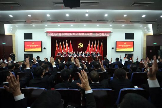 中國建材集團(tuán)有限公司召開第一次黨員代表大會(huì)